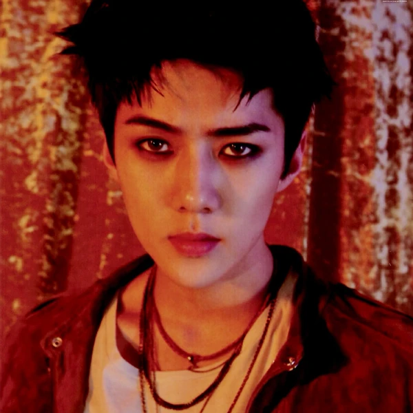 세훈 (EXO) 팬심 가득한 인기 사진