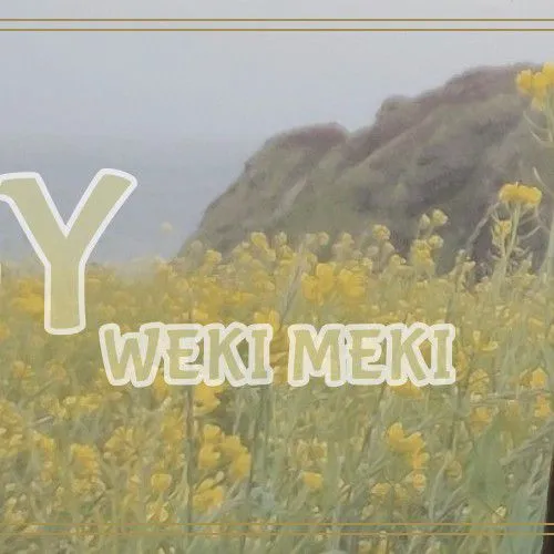 Top Photo Full of Elly Love