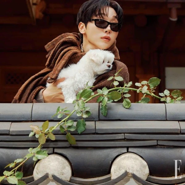 粉絲票選的勝寛 (SEVENTEEN)最佳瞬間