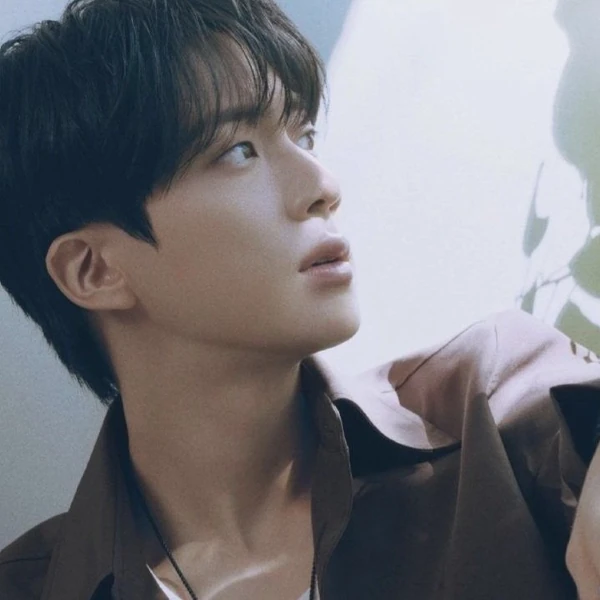 Popular profile image of Jin (BTS) selected by votes