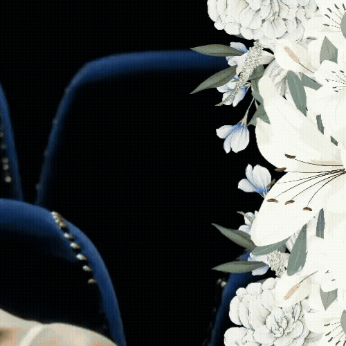 모모 (TWICE) 팬심 가득한 인기 사진