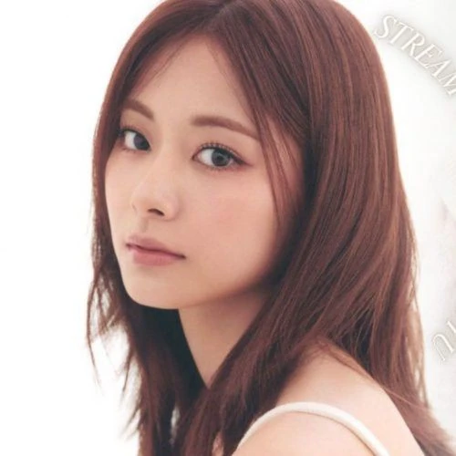 팬들이 뽑은 쯔위 (TWICE) 최고의 순간