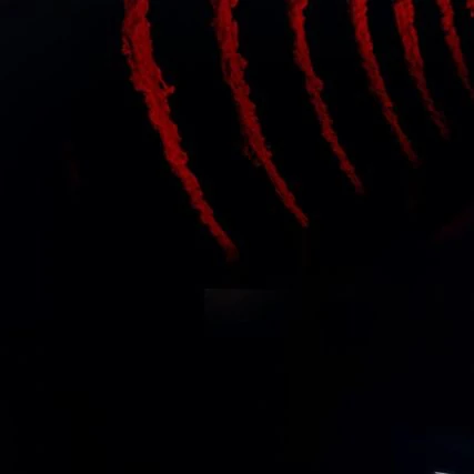 ファリタ (BABYMONSTER)への愛が詰まった人気写真