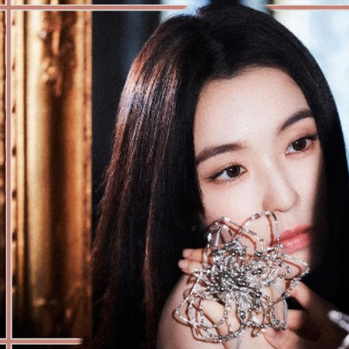 아이린 (레드벨벳) 팬심 가득한 인기 사진