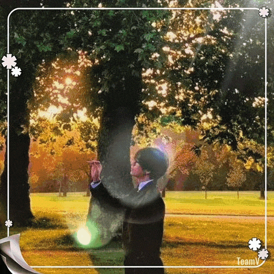 V (BTS)への愛が詰まった人気写真