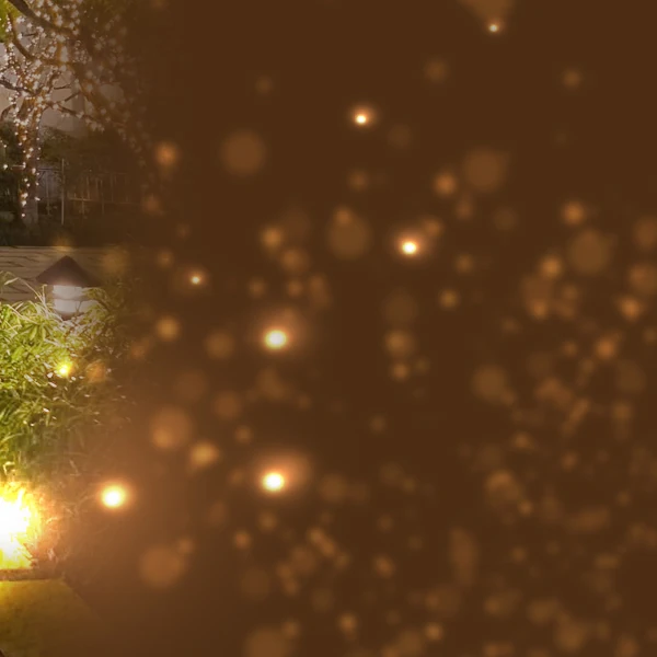 今日最受喜愛的姜丹尼爾