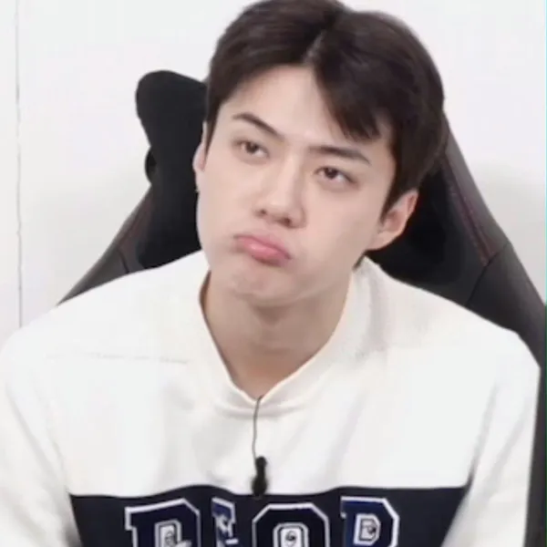 세훈 (EXO) 팬심 가득한 인기 사진