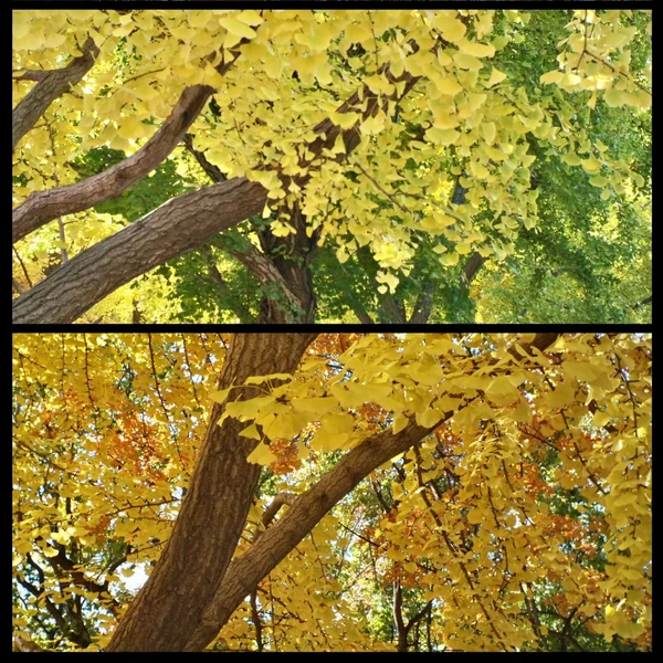 充滿粉絲愛意的D.O. (EXO)人氣照片