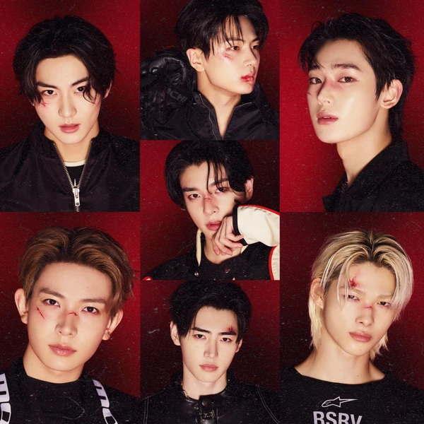 ENHYPEN 팬심 가득한 인기 사진