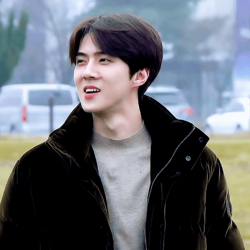 Fans' Pick: Best Moment of Sehun (EXO)
