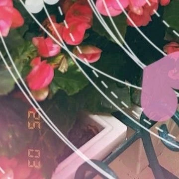 Top Photo Full of Siyeon (DREAMCATCHER) Love