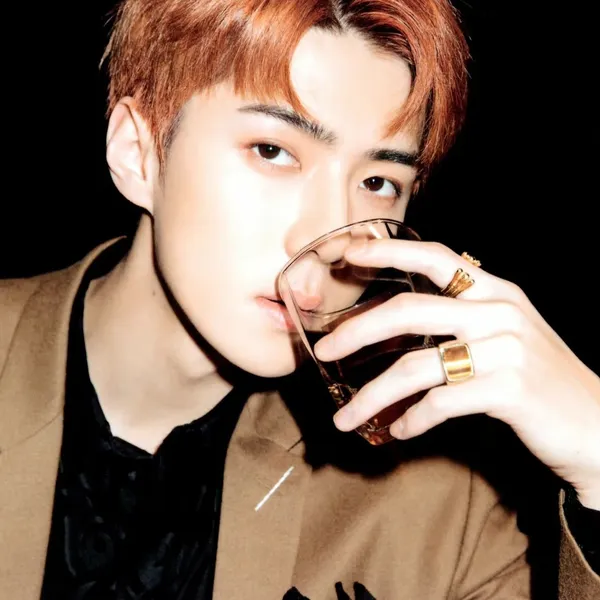 세훈 (EXO) 팬심 가득한 인기 사진