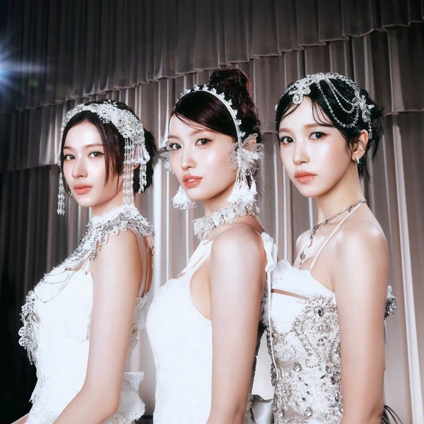 TWICE 팬심 가득한 인기 사진