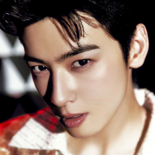 아스트로 팬심 가득한 인기 사진