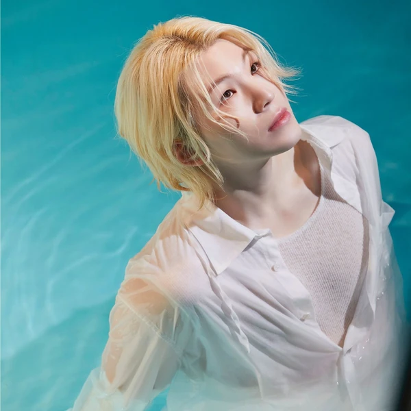 팬들이 뽑은 세븐틴 최고의 순간