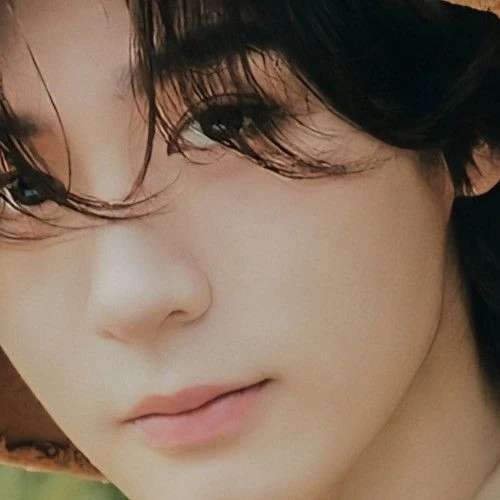 Top Photo Full of Leehan (BOYNEXTDOOR) Love