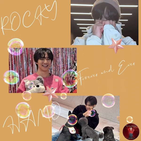 Fans' Pick: Best Moment of Rocky