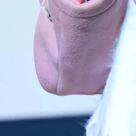 Top Photo Full of Gaeul (IVE) Love