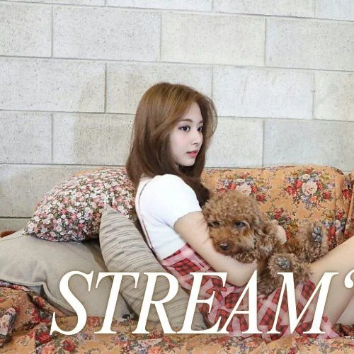 쯔위 (TWICE) 팬심 가득한 인기 사진