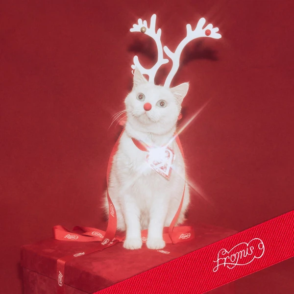 Fans' Pick: Best Moment of fromis (9)