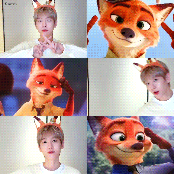 오늘 가장 사랑받은 백현 (EXO)의 모습