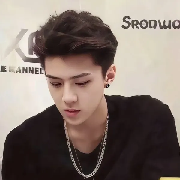 팬들이 뽑은 세훈 (EXO) 최고의 순간