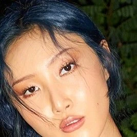 Today's Most Loved Hwasa (MAMAMOO)