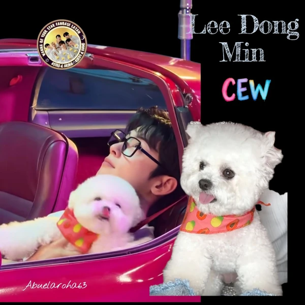 粉丝票选的ASTRO最佳瞬间