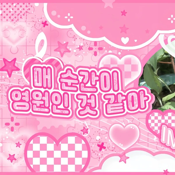 Fans' Pick: Best Moment of Wonhee (ILLIT)