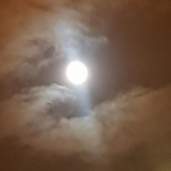 Top Photo Full of Moonbin (ASTRO) Love