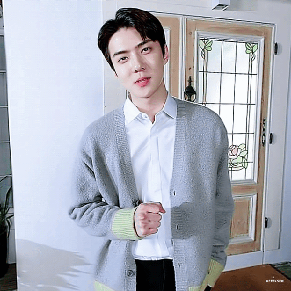 팬들이 뽑은 세훈 (EXO) 최고의 순간