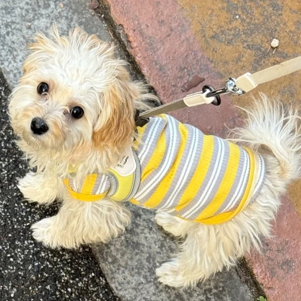 Today's Most Loved LEO (VIXX)