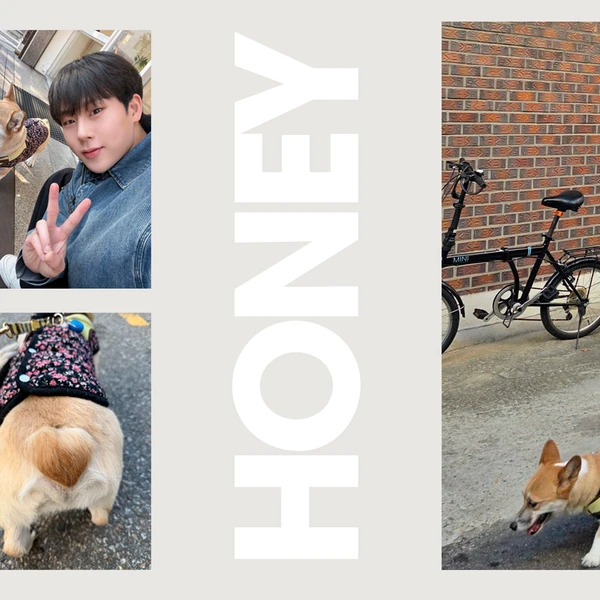 充满粉丝爱意的周宪 (MONSTA X)人气照片