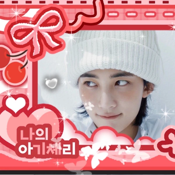 充滿粉絲愛意的淨漢 (SEVENTEEN)人氣照片