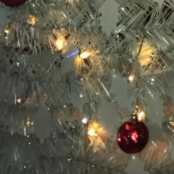 Fans' Pick: Best Moment of Go Won (Loossemble)