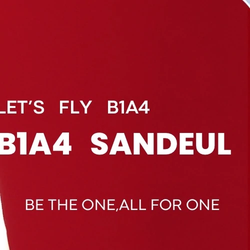 今日最も愛されたサンドゥル (B1A4)の姿