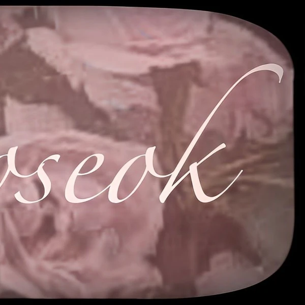 Fans' Pick: Best Moment of Wooseok (PENTAGON)