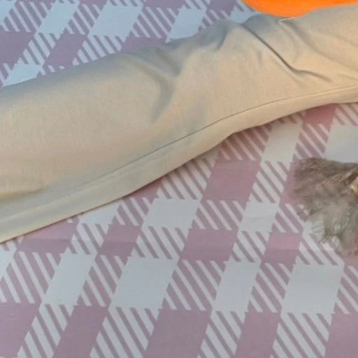 Best moment chosen by Gaeul (IVE) fandom