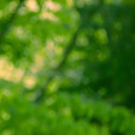 오늘 가장 사랑받은 문별 (마마무)의 모습