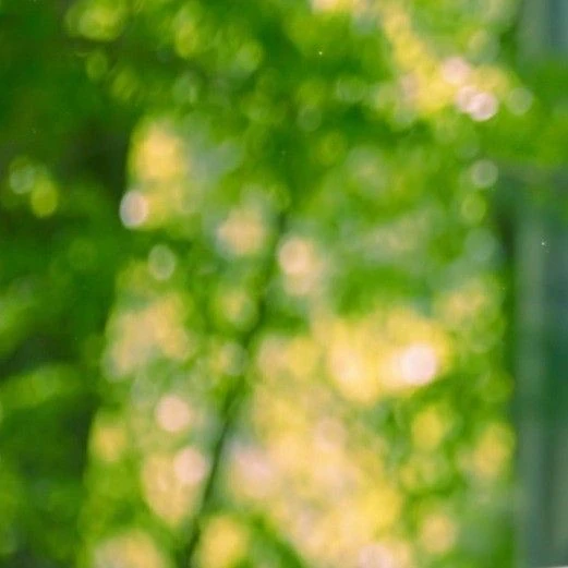 문별 (마마무) 팬심 가득한 인기 사진