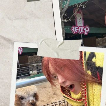 Top Photo Full of Monday (Weeekly) Love