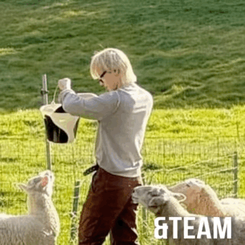 Fans' Pick: Best Moment of Nicholas (&TEAM)