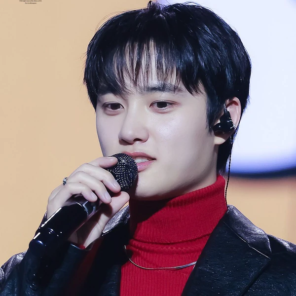 디오 (EXO) 팬심 가득한 인기 사진