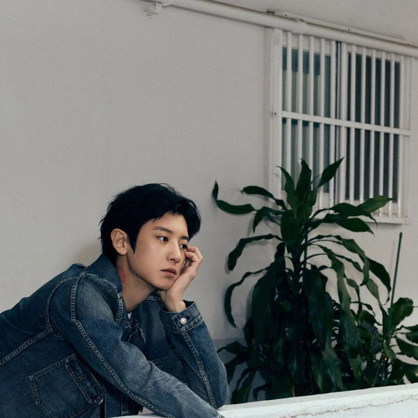 팬들이 뽑은 찬열 (EXO) 최고의 순간