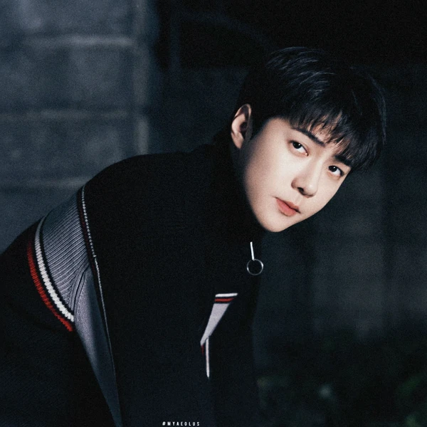 Fans' Pick: Best Moment of Sehun (EXO)