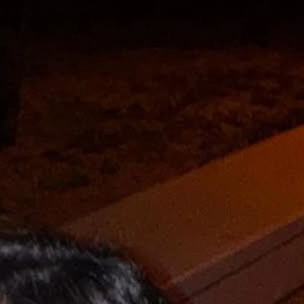 Fans' Pick: Best Moment of Choerry (ARTMS)