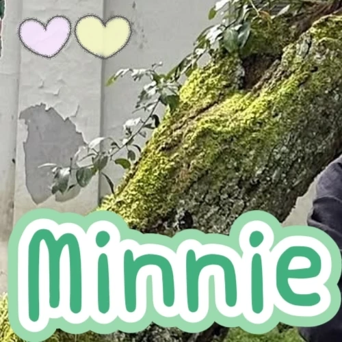 Popular profile picture of Minnie (i-dle) loved by fans