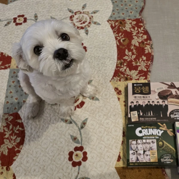 今日最も愛されたENHYPENの姿