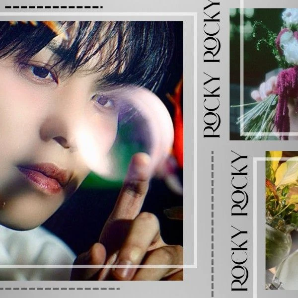 Today's Most Loved Rocky