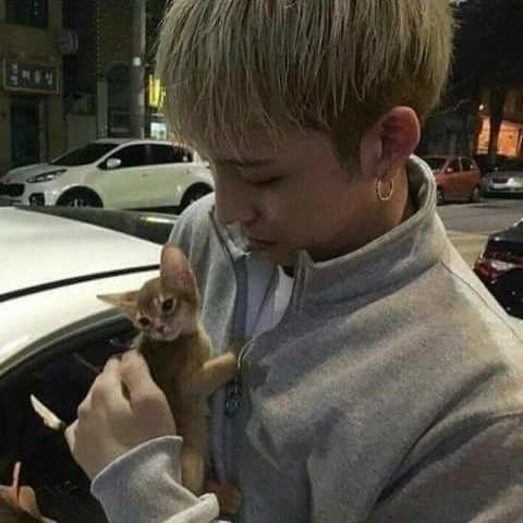 Best moment chosen by G-DRAGON (BIGBANG) fandom